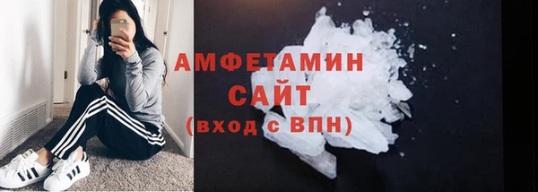 гашик Новозыбков