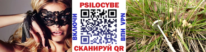 площадка формула  Махачкала  Псилоцибиновые грибы Magic Shrooms 