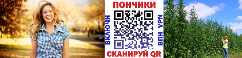 Конопля гибрид мега онион Махачкала что такое наркотик